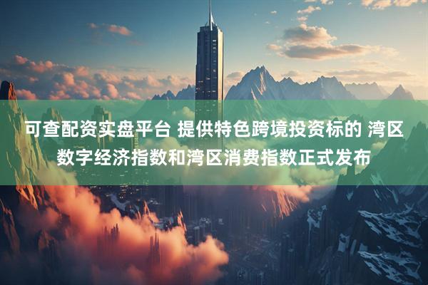 可查配资实盘平台 提供特色跨境投资标的 湾区数字经济指数和湾区消费指数正式发布