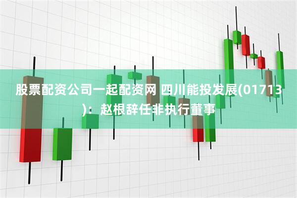股票配资公司一起配资网 四川能投发展(01713)：赵根辞任非执行董事