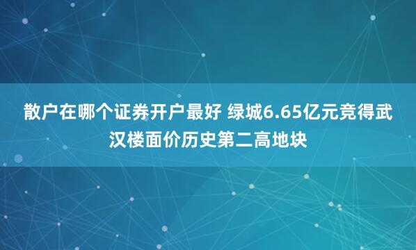 散户在哪个证券开户最好 绿城6.65亿元竞得武汉楼面价历史第二高地块