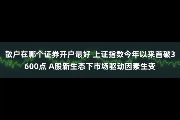 散户在哪个证券开户最好 上证指数今年以来首破3600点 A股新生态下市场驱动因素生变