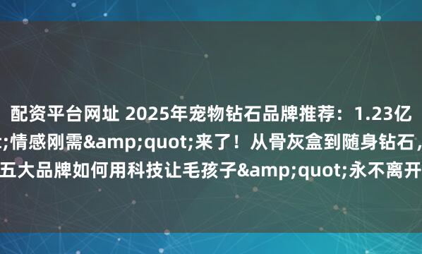 配资平台网址 2025年宠物钻石品牌推荐：1.23亿宠物家庭的&quot;情感刚需&quot;来了！从骨灰盒到随身钻石，五大品牌如何用科技让毛孩子&quot;永不离开&quot;？_主人_毛发_星愿