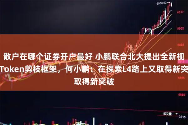 散户在哪个证券开户最好 小鹏联合北大提出全新视觉Token剪枝框架，何小鹏：在探索L4路上又取得新突破